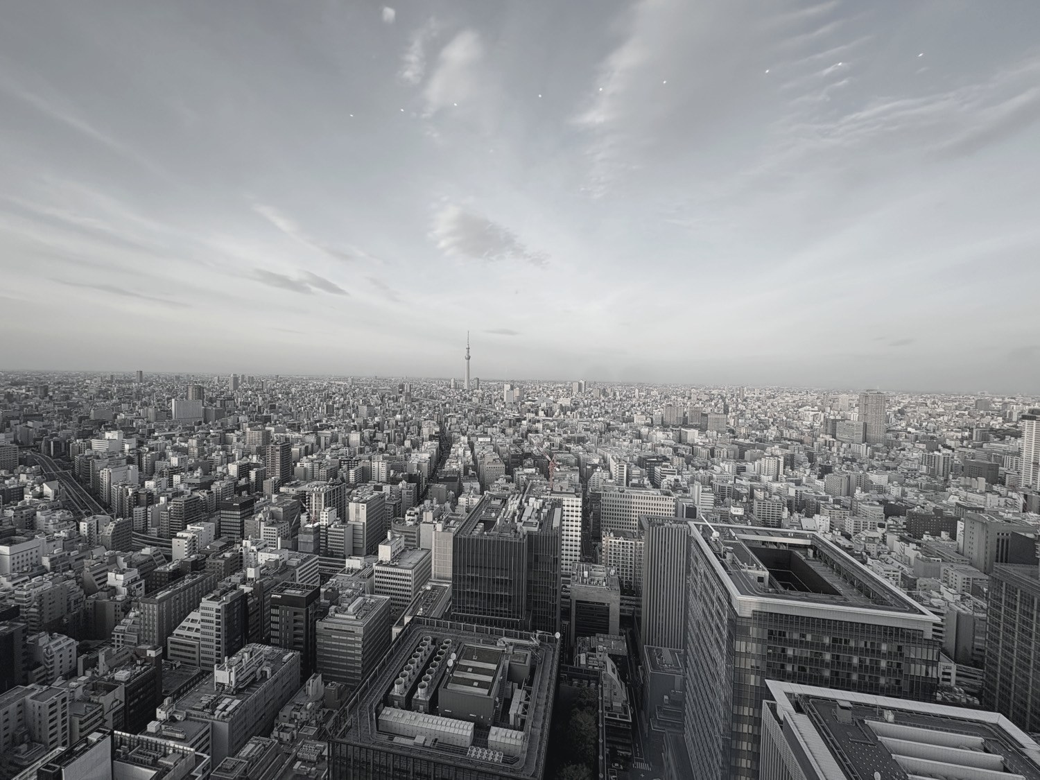 Tokyo from above