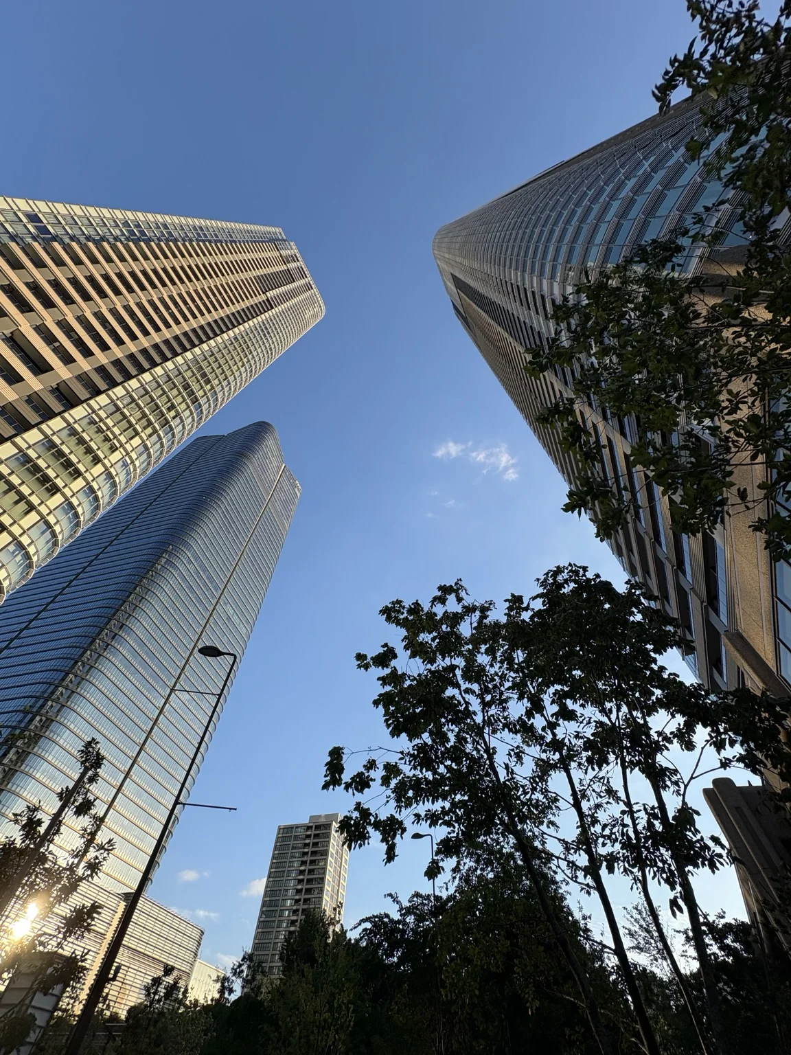 Looking up between the towers of Azabudai Hills with trees in the foreground