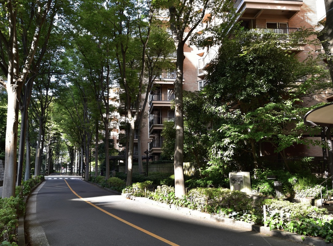 Tree-lined residential lane beside brick apartment buildings