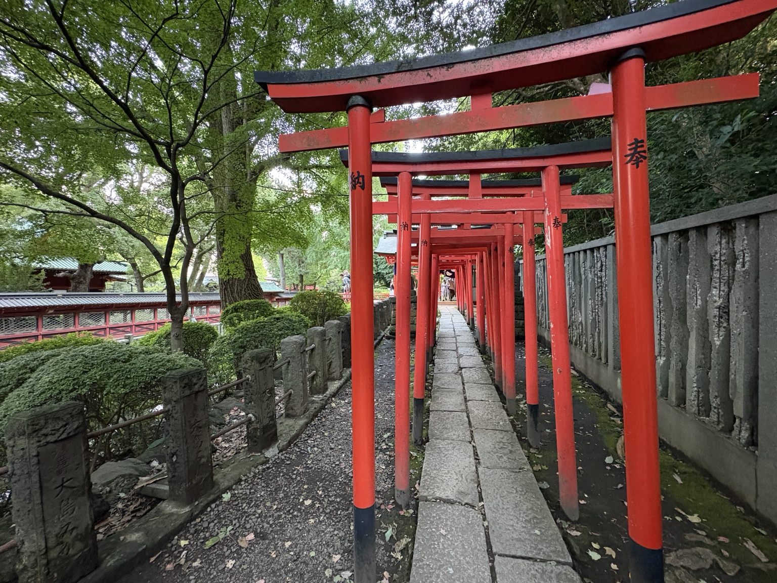 A pathway through the red torii gates at Nezu Shrine